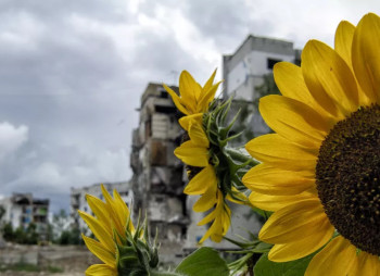 Corporate Meeting: Financing Ukraine's Economic Recovery